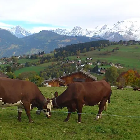 Vue Mont Blanc Et Toute La Chaine Apartmán Combloux