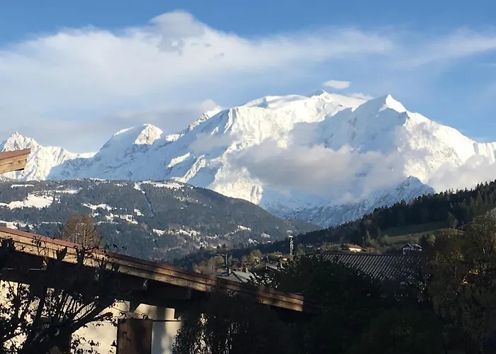 Vue Mont Blanc Et Toute La Chaine شقة